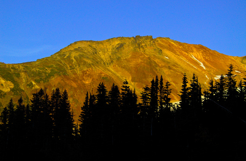 Chromatic Moraine Above Tree Silhouettes